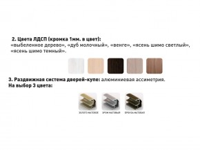 Шкаф-купе Акцент-Сим Д 1200-600 шимо тёмный в Коркино - korkino.magazinmebel.ru | фото - изображение 3
